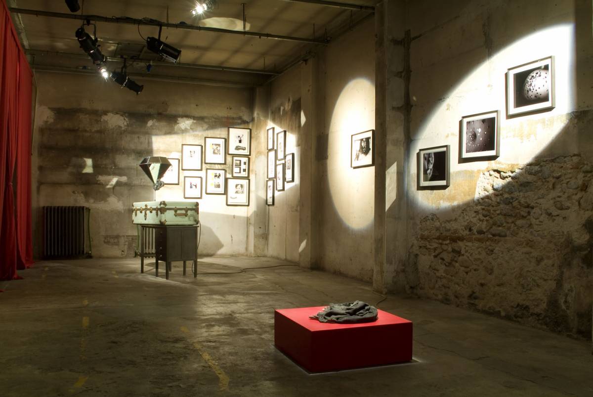 Fat Iggy, 2009, vista dell'installazione