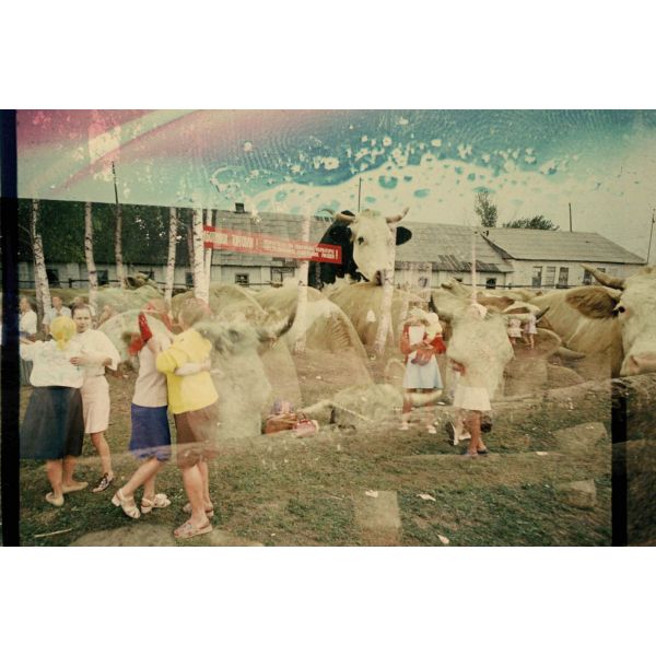 Superimposition #233