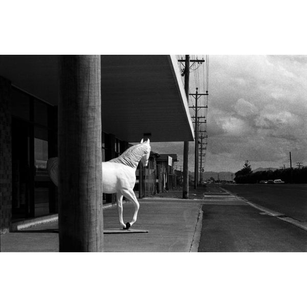 Travelling Poem, Proserpine, Australia